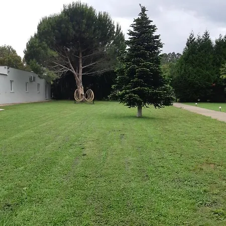 Πανσιόν Casa Do Coura Caminha
