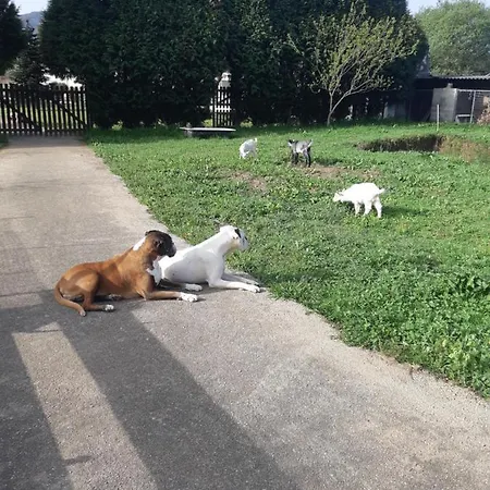 Casa Do Coura Bed & Breakfast 3*